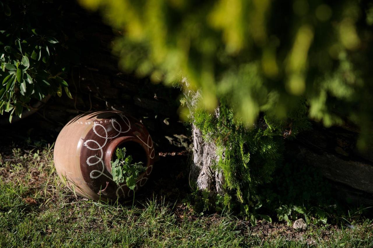 "Palatiana Agriturismo-Philoxenia Cottages", Private Nature Retreats Galini エクステリア 写真